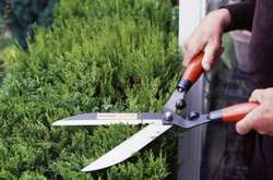 У Німеччині садівник перед смертю встановив бомби біля будинків своїх ворогів