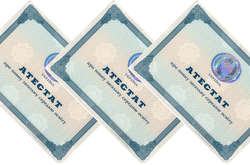 Школы Украины перестанут выдавать аттестаты