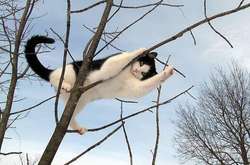 На наступному тижні в Україну прийде похолодання