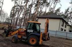 Під прикриттям свята у лісі поблизу Києва вирубали дерева