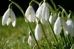 8 березня у Києві було встановлено черговий температурний рекорд