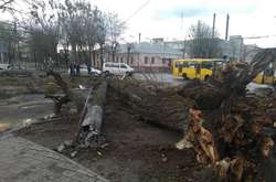 Негода наробила лиха у Львові (фото)