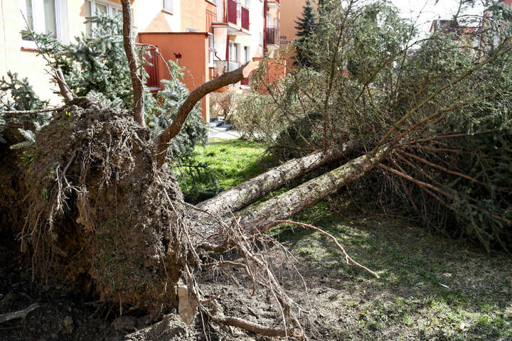 У Польщі лютує руйнівний буревій: фото
