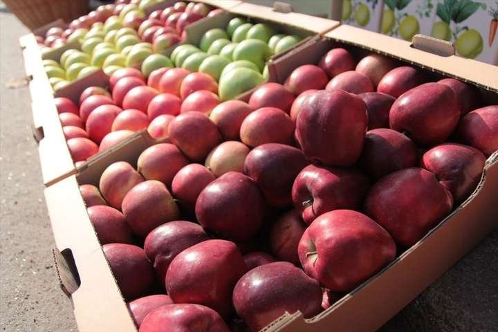 Україна встановила новий рекорд з експорту яблук