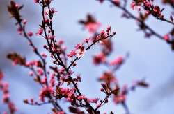 Лише у південній частині України сьогодні без істотних опадів