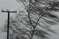 На Київщині шквалистий вітер залишив без світла 12 населених пунктів