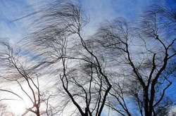 У Києві оголошено штормове попередження