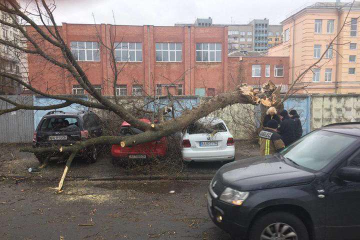 Негода у Києві: вже шість зірваних дахів, десятки повалених дерев