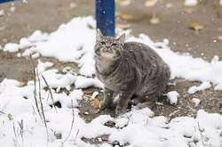В Україні циклон знову викличе штормовий вітер і затягне холодом