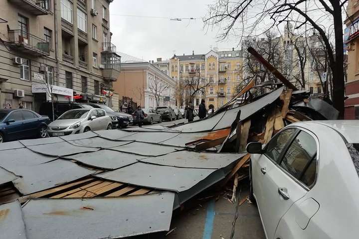 Негода в Україні: вітер за добу повалив 160 дерев та пошкодив 310 дахів