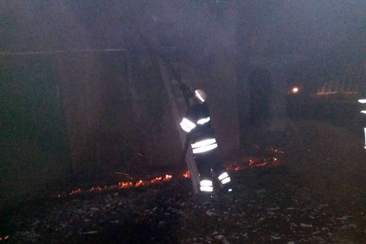 Під час пожежі на Київщині ледь не підсмажилися 350 поросят 