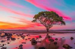 Завораживающая Австралия в объективе Митчелла Петтигрю: роскошные фото