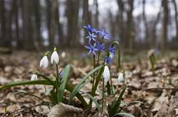 Синоптик розповіла, коли до Києва прийде тепло