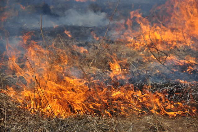 У Дарницькому районі сталося масштабне загорання трави 
