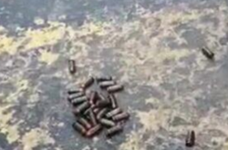 Одеські правоохоронці вилучили в перехожого набої