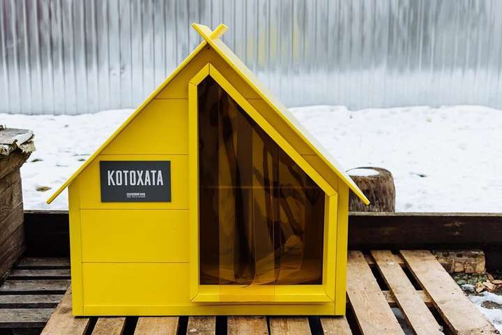 В Киеве установят 18 домиков для бездомных кошек (фото)