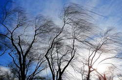 На вихідних в Україні погіршиться погода