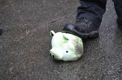 Феєрверк з плюшевих свиней. Як у столиці протестували через корупцію в «Оборонпромі»