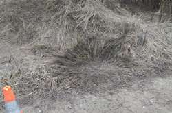 На Дніпропетровщині «євробляхер» кинув гранатою у поліцейських, які його зупинили