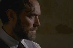 Джуд Лоу в роли Дамблдора  Фото: imdb