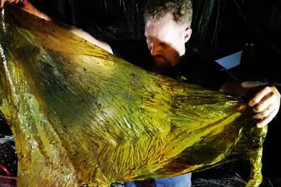 На Філіппінах кит загинув через пластикові відходи