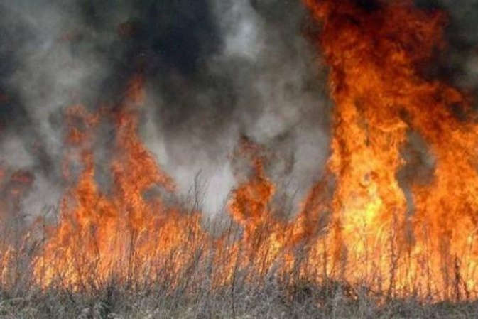 Київ у вогні: минулого тижня сталося 128 пожеж