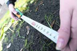 Масштабне розкрадання землі під Києвом: оголошено підозру семи особам