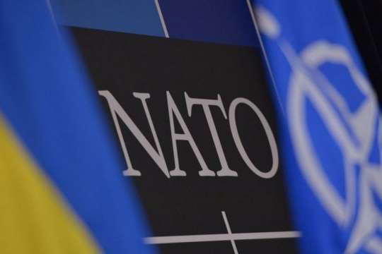 ЦВК зареєструвала 23 спостерігача від Парламентської асамблеї НАТО 