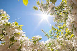 Українські синоптики прогнозують до +28 у квітні 