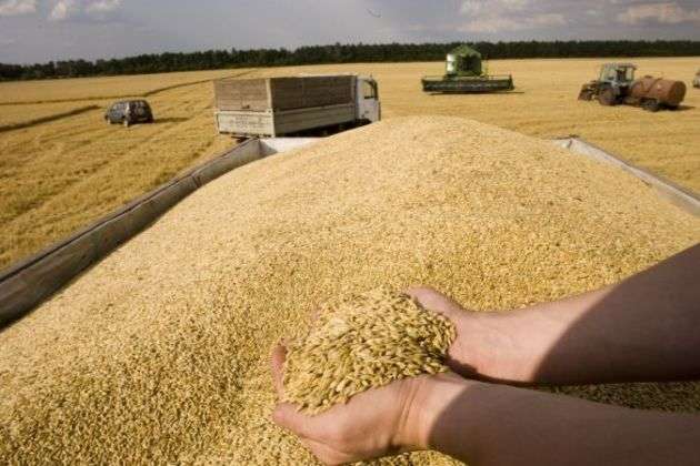 Україна експортувала понад 35 мільйонів тонн зерна за майже 9 місяців 