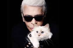 RIP Daddy: кошка Карла Лагерфельда Шупетт выпустила коллекцию в память о хозяине