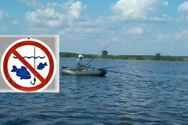 На Київщині з 29 березня заборонено вилов риби