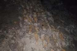 «Чорний археолог» знайшов під Києвом 71 снаряд