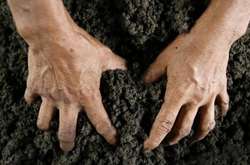 Розкрадання цінної землі під Києвом: у справі вже дев’ять підозрюваних