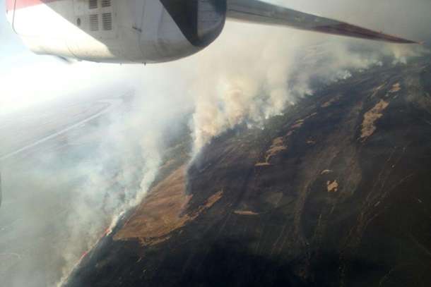 Під Одесою горить ліс: для приборкання вогню задіяли авіацію