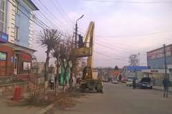 У Жмеринці готують дерева до весни