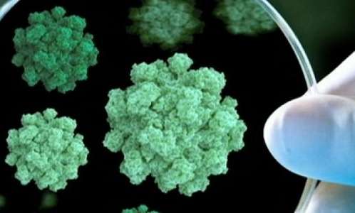 Масове отруєння дітей у Дніпрі спричинив «кишковий грип»