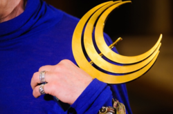 Оголошено дату і місце вручення премії «Київська пектораль» (номінанти)