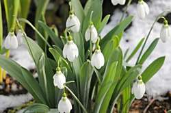 У Києві 23 березня буде сухо та прохолодно