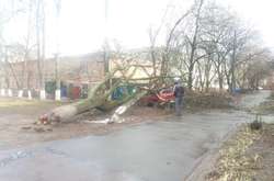 Черніговом пронісся буревій (ФОТО)