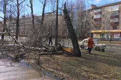 На Чернігівщині через сильний вітер знеструмлено 62 населені пункти