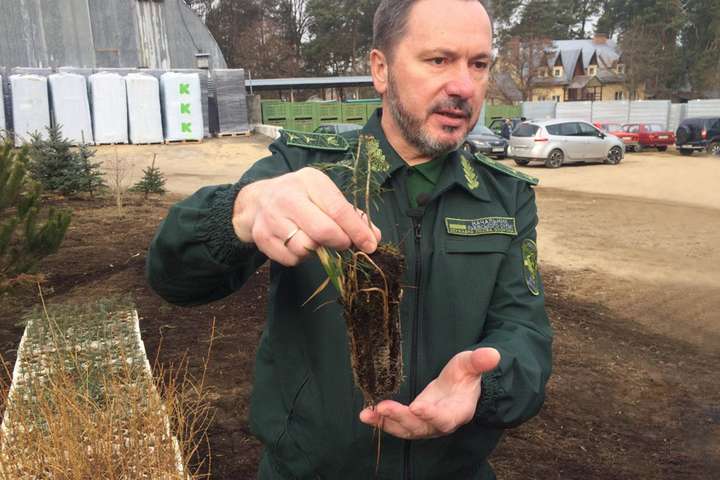 У Львівській області запустили промислову лінію з вирощування саджанців дерев