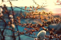 Погода на неділю: у більшості областей України буде сухо та сонячно