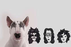 Мужчина сделал своего пса звездой Instagram