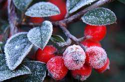 У Києві сьогодні буде хмарно з проясненнями, без істотних опадів