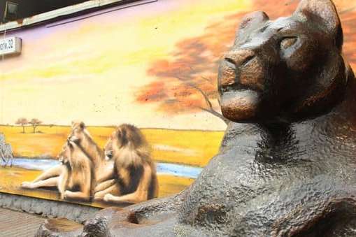 Скульптури левів та бізона біля входу в київський зоопарк буде перенесено
