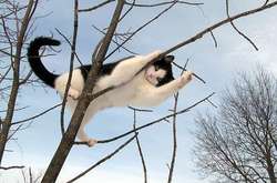 Синоптик розповіла, коли в Україну прийде потепління