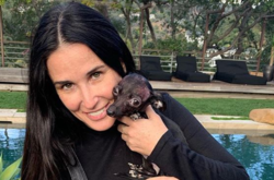 Деми Мур повеселилась на второй свадьбе своего бывшего мужа Брюса Уиллиса