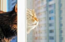 Синоптик рассказала, когда в Украине потеплеет