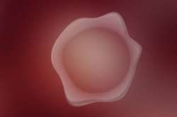 В Дании разработали агендерный голос